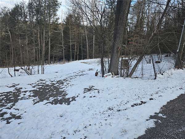 23.7 Acres of Recreational Land for Sale in Bath, New York