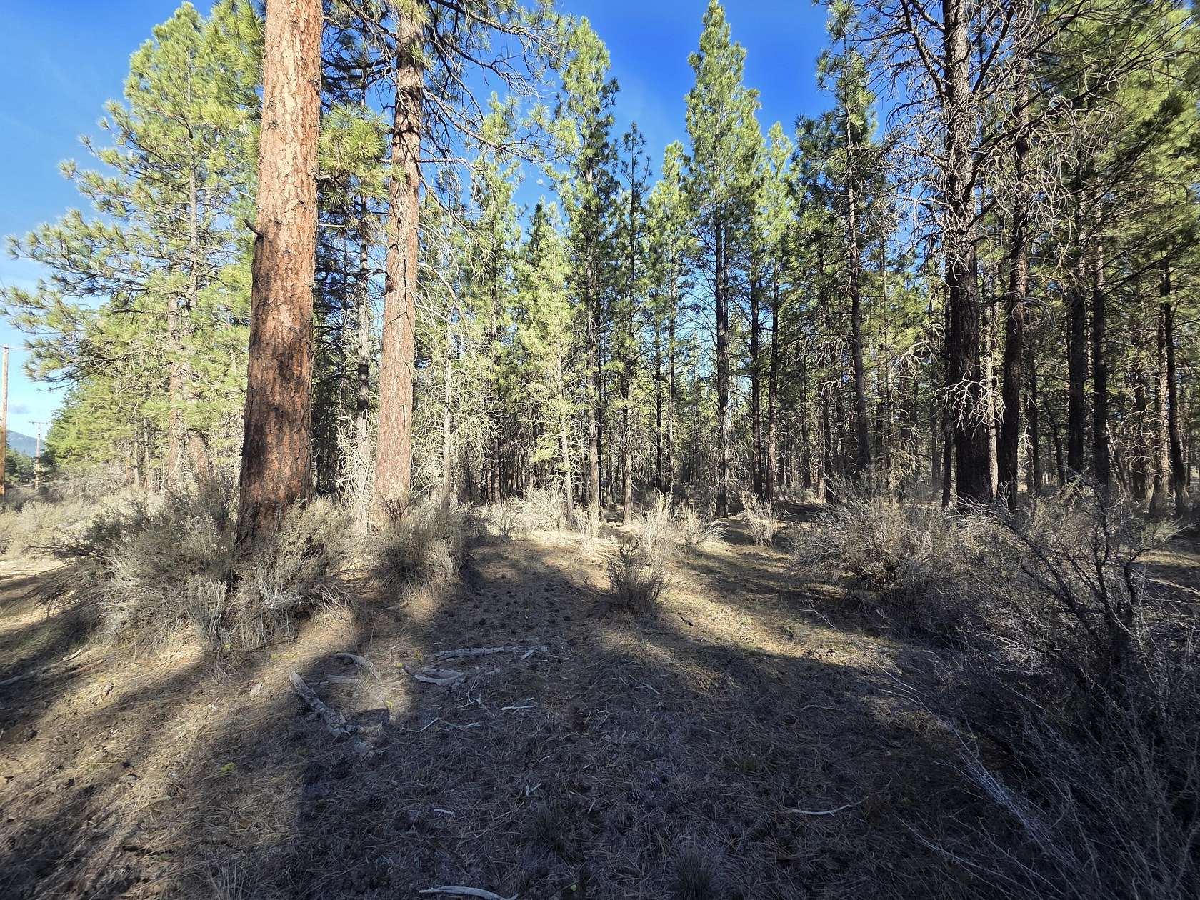 2.43 Acres of Residential Land for Sale in Chiloquin, Oregon