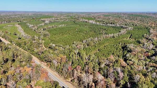 122 Acres of Recreational Land for Sale in Eufaula, Alabama