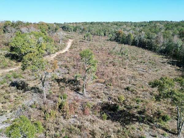 142 Acres of Recreational & Residential Land for Sale in Eufaula, Alabama