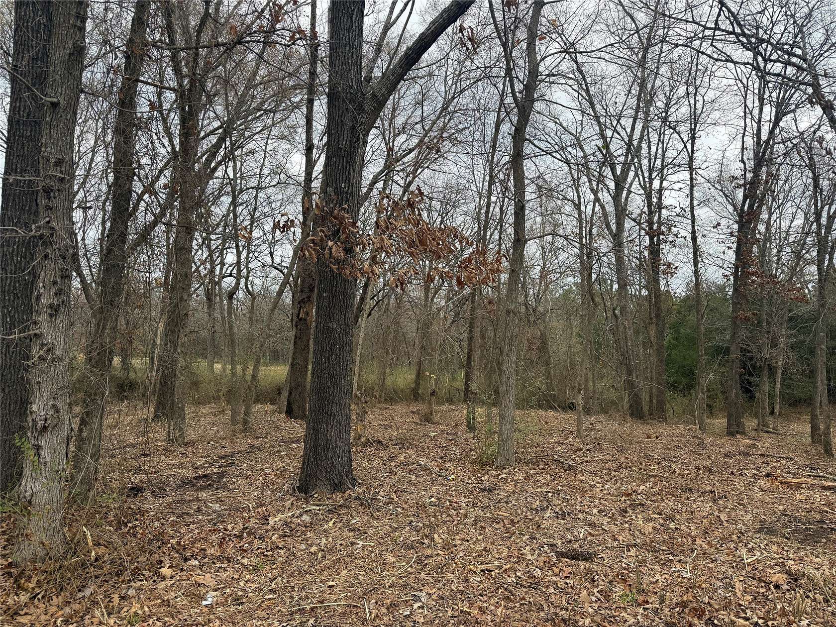 0.25 Acres of Residential Land for Sale in Grand Saline, Texas