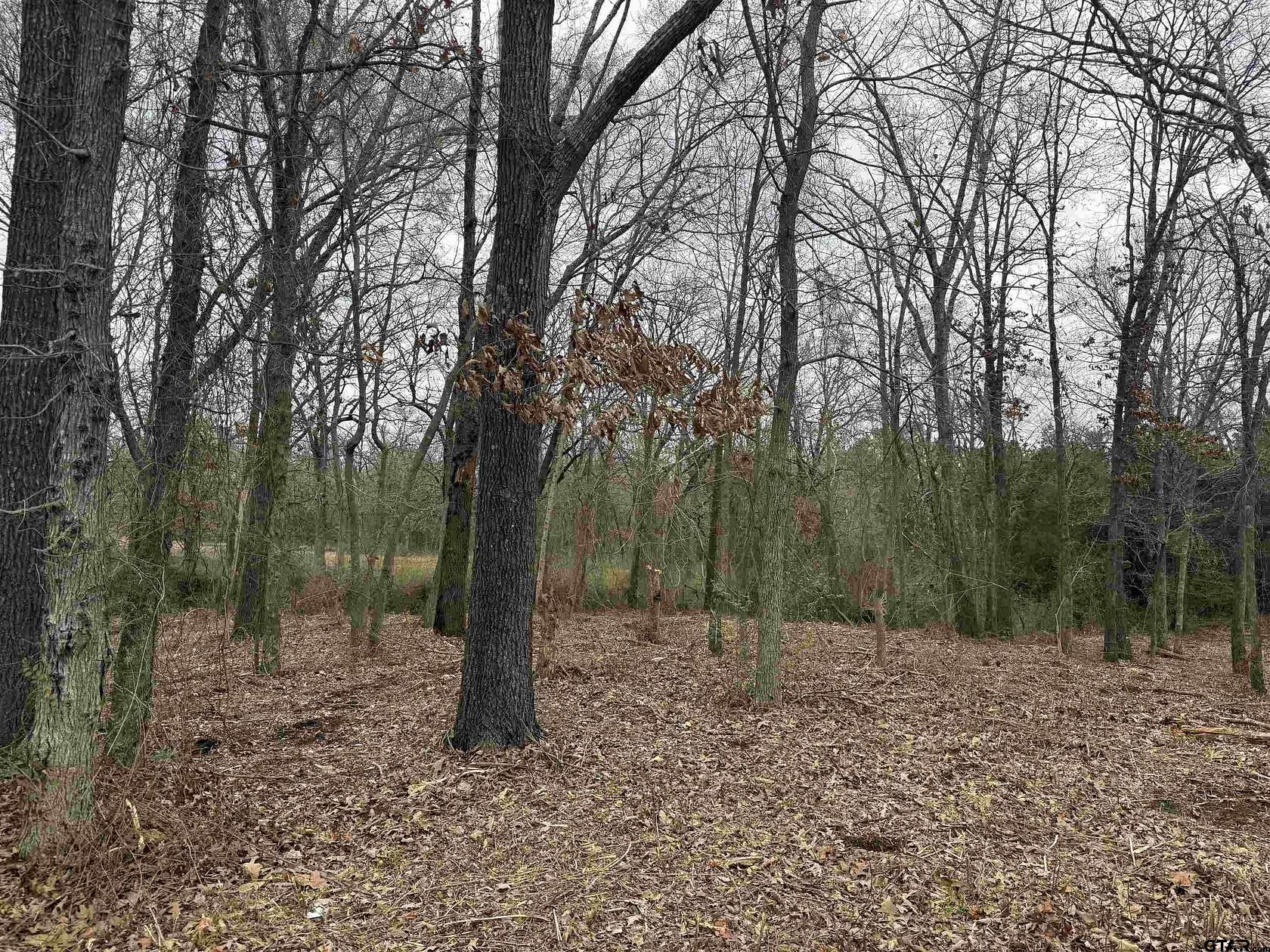 0.25 Acres of Residential Land for Sale in Grand Saline, Texas