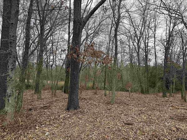 0.25 Acres of Residential Land for Sale in Grand Saline, Texas