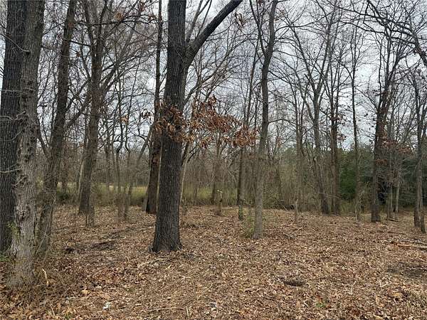 0.25 Acres of Residential Land for Sale in Grand Saline, Texas