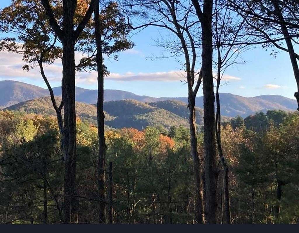 2 Acres of Land with Home for Sale in Blue Ridge, Georgia