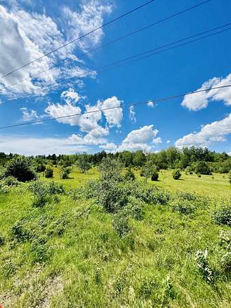 10 Acres of Recreational & Residential Land for Sale in Republic, Michigan