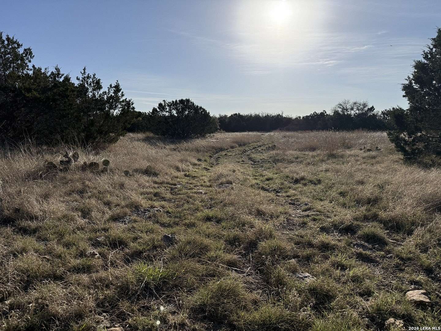 14 Acres of Recreational & Residential Land for Sale in Harper, Texas