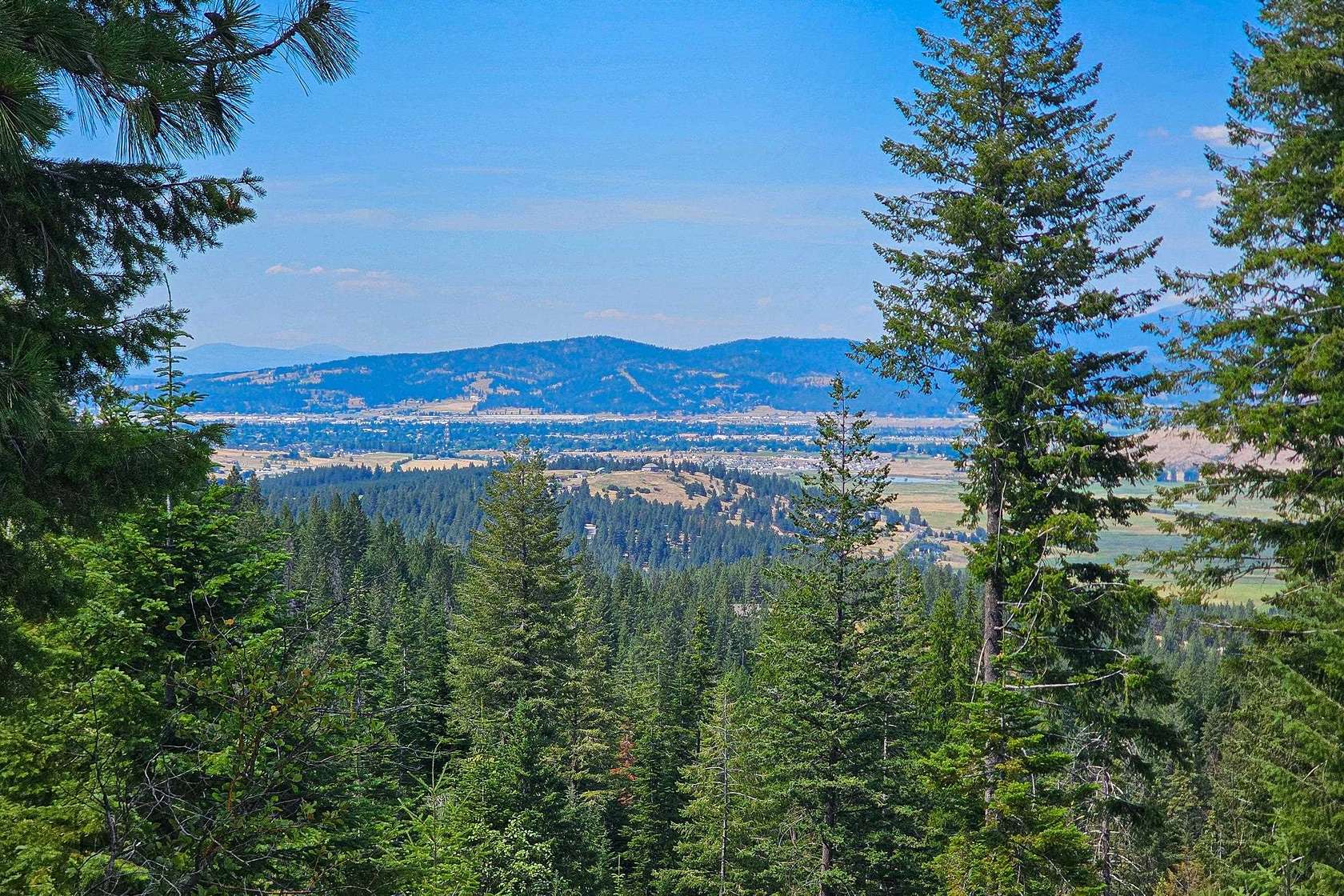 40.3 Acres of Recreational & Residential Land for Sale in Mica, Washington
