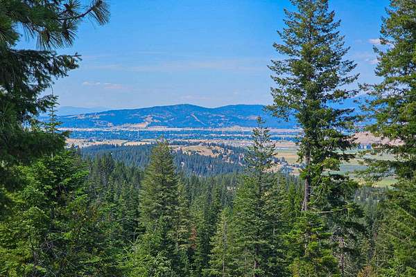 40.3 Acres of Recreational & Residential Land for Sale in Mica, Washington