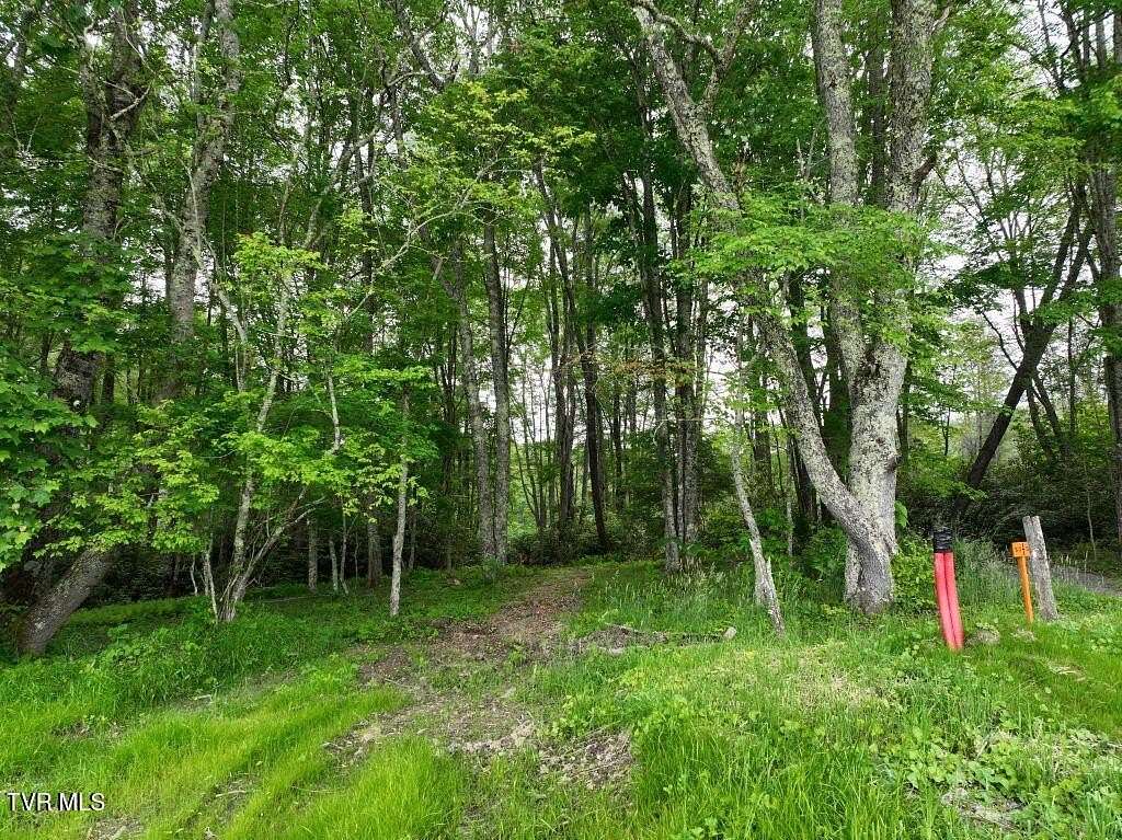 0.84 Acres of Land for Sale in Roan Mountain, Tennessee