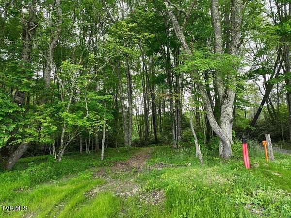 0.77 Acres of Land for Sale in Roan Mountain, Tennessee
