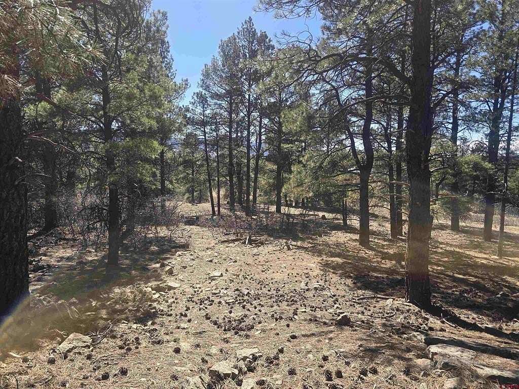 0.24 Acres of Residential Land for Sale in Pagosa Springs, Colorado