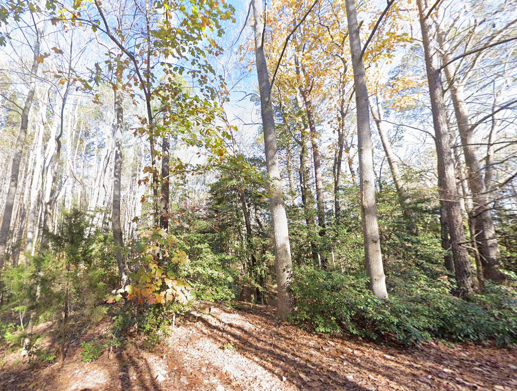 8.78 Acres of Land for Sale in Lottsburg, Virginia