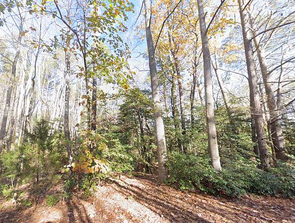 8.78 Acres of Land for Sale in Lottsburg, Virginia