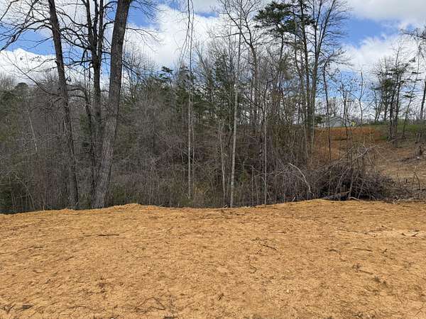 0.58 Acres of Land for Sale in Monticello, Kentucky