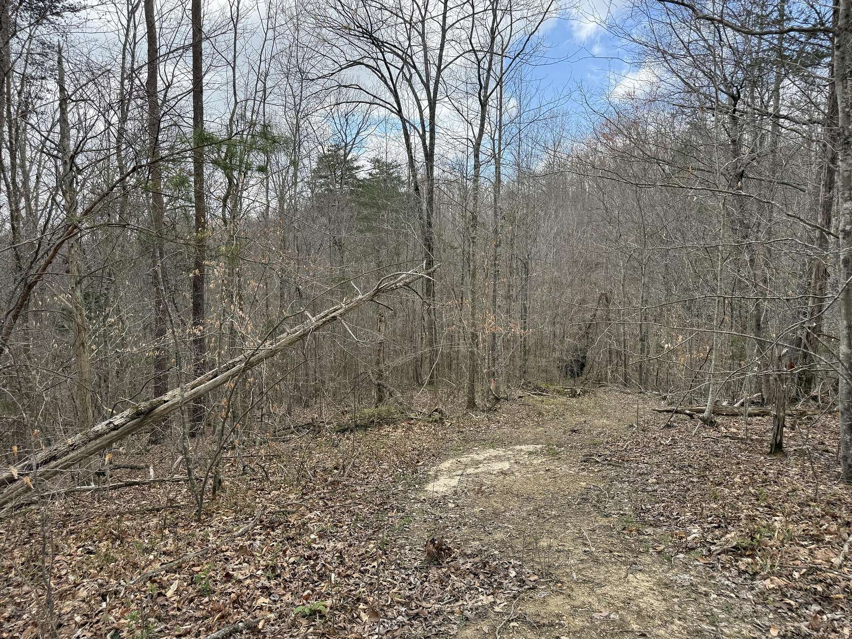 0.58 Acres of Land for Sale in Monticello, Kentucky