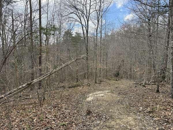 0.58 Acres of Land for Sale in Monticello, Kentucky