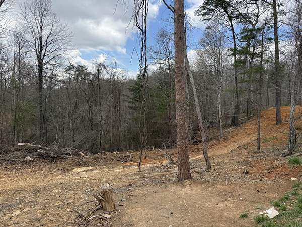 0.58 Acres of Land for Sale in Monticello, Kentucky