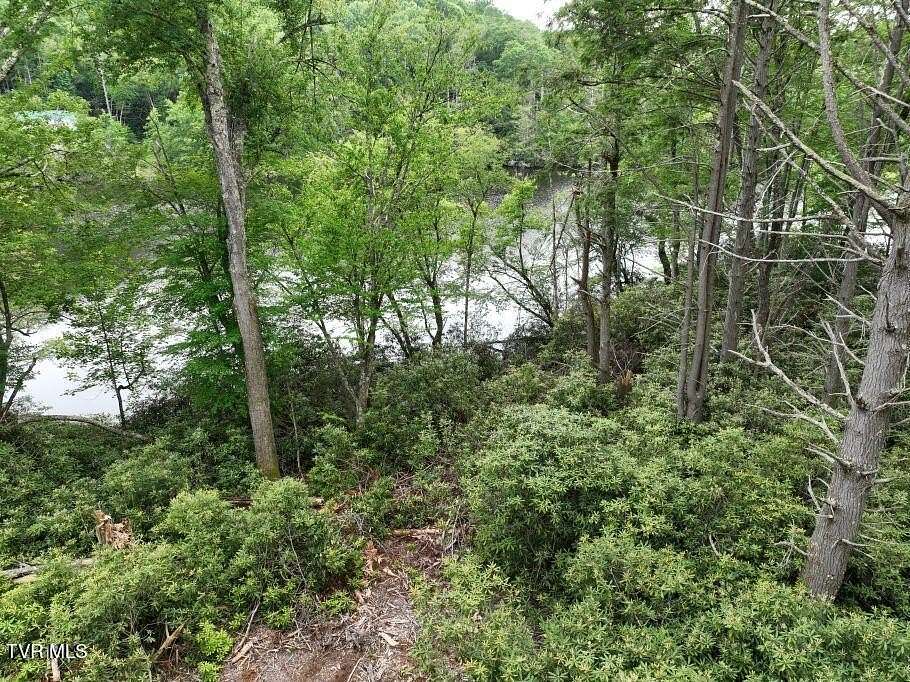 0.88 Acres of Residential Land for Sale in Roan Mountain, Tennessee