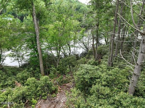 0.88 Acres of Residential Land for Sale in Roan Mountain, Tennessee