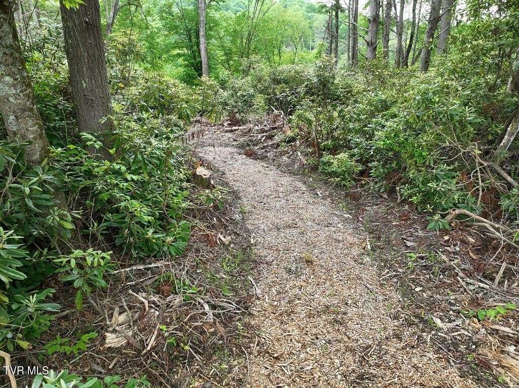 0.8 Acres of Residential Land for Sale in Roan Mountain, Tennessee