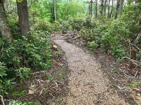 0.8 Acres of Residential Land for Sale in Roan Mountain, Tennessee