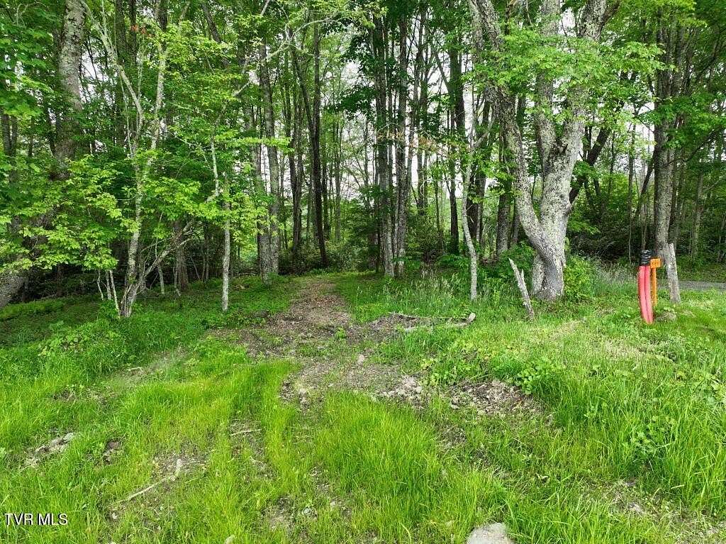 0.91 Acres of Land for Sale in Roan Mountain, Tennessee