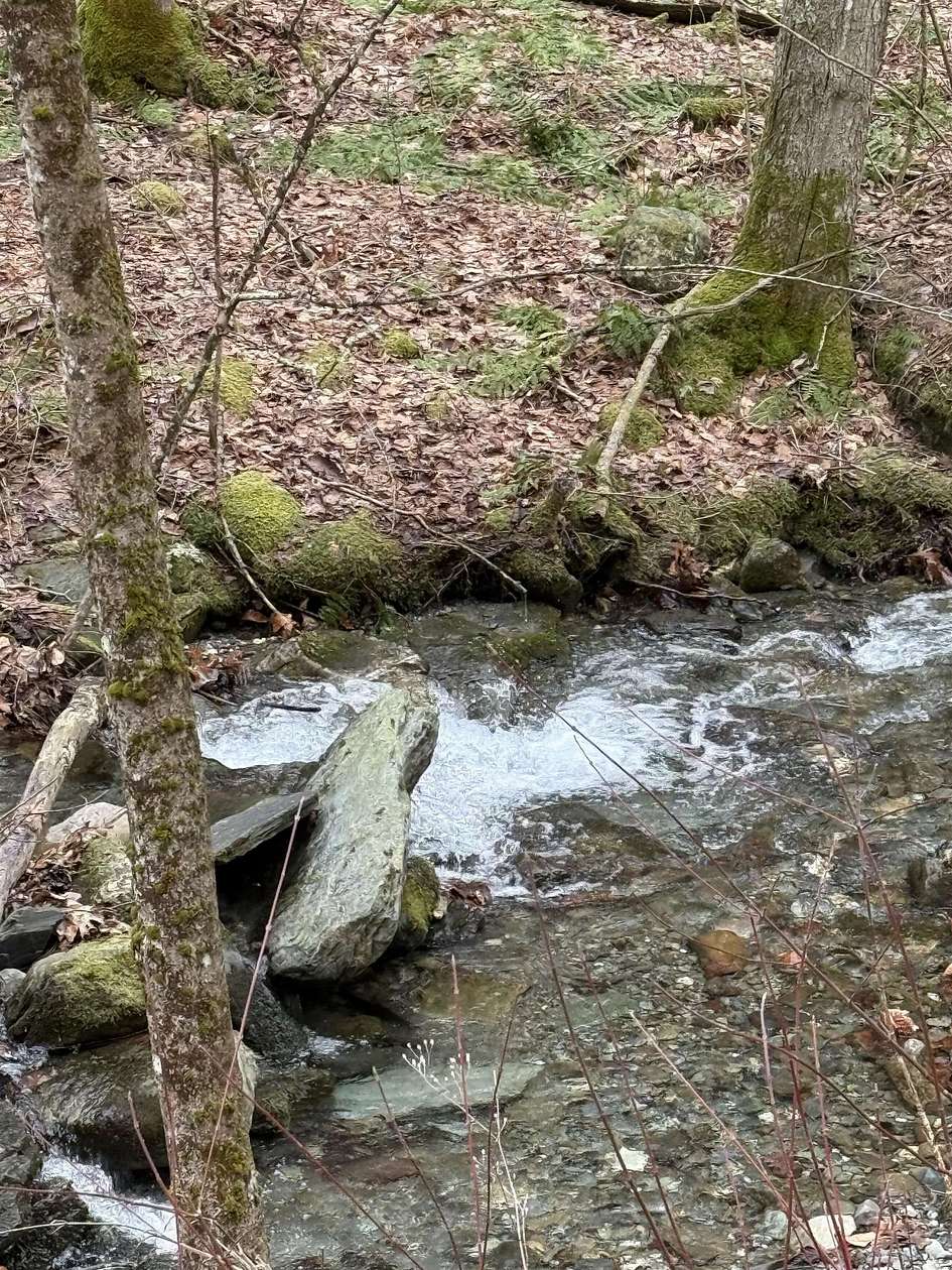 81.6 Acres of Recreational & Residential Land for Sale in Wells, Vermont