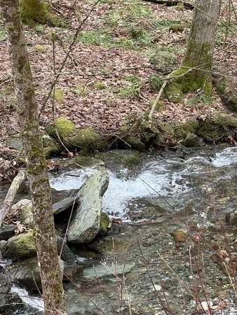 81.6 Acres of Recreational & Residential Land for Sale in Wells, Vermont