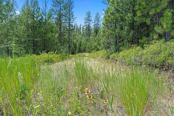 52.2 Acres of Recreational Land for Sale in Mica, Washington