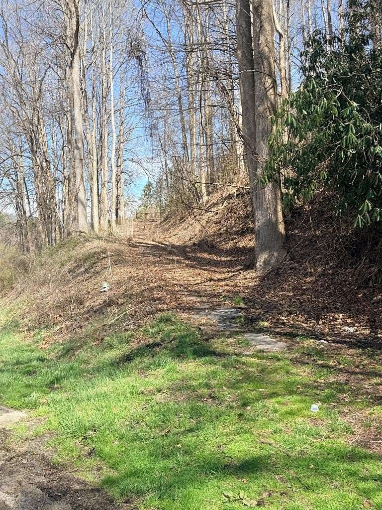 Land for Sale in Topton, North Carolina