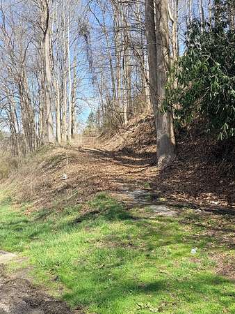 Land for Sale in Topton, North Carolina