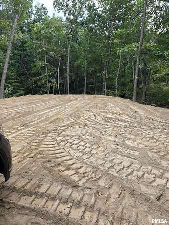 2 Acres of Residential Land for Sale in Woodlawn, Illinois