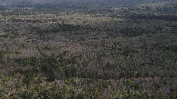 98.7 Acres of Agricultural Land for Sale in Wister, Oklahoma