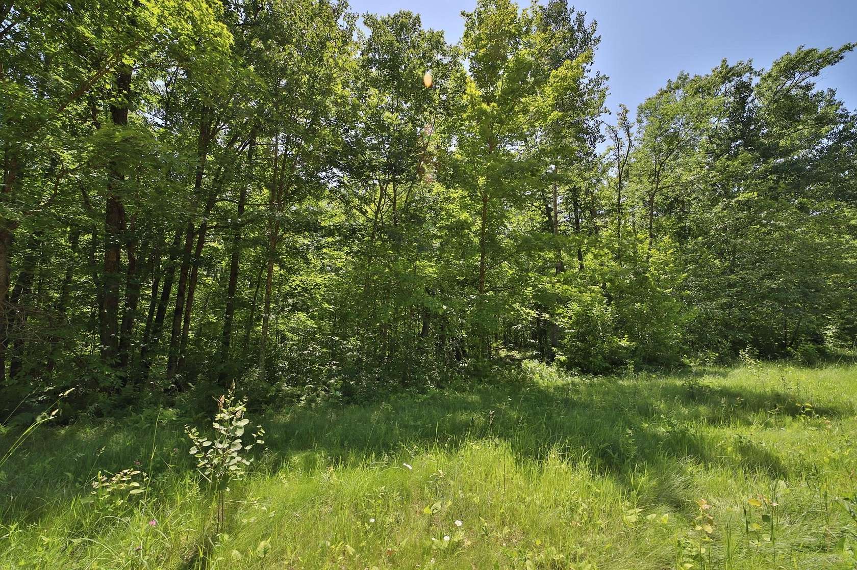 14.7 Acres of Recreational & Residential Land for Sale in Crosby, Minnesota