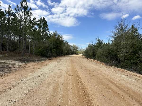24 Acres of Agricultural Land for Sale in Caryville, Florida