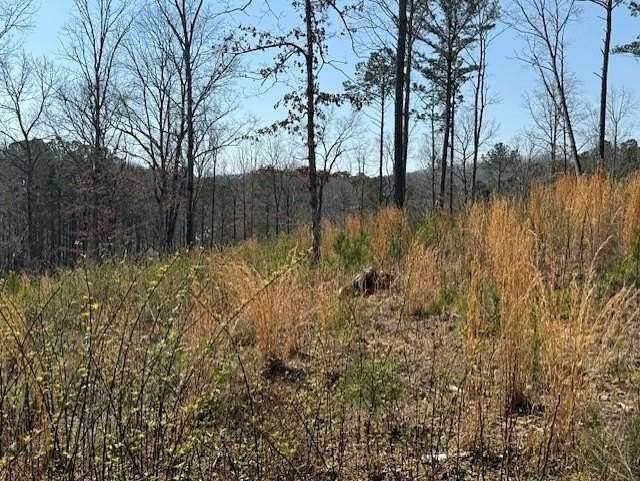 1.65 Acres of Residential Land for Sale in Talking Rock, Georgia