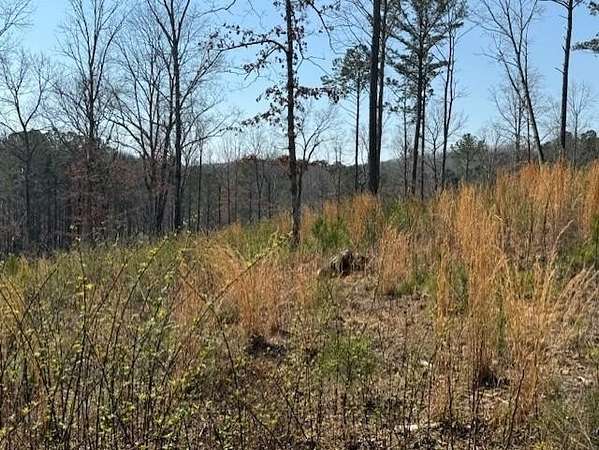 1.65 Acres of Residential Land for Sale in Talking Rock, Georgia