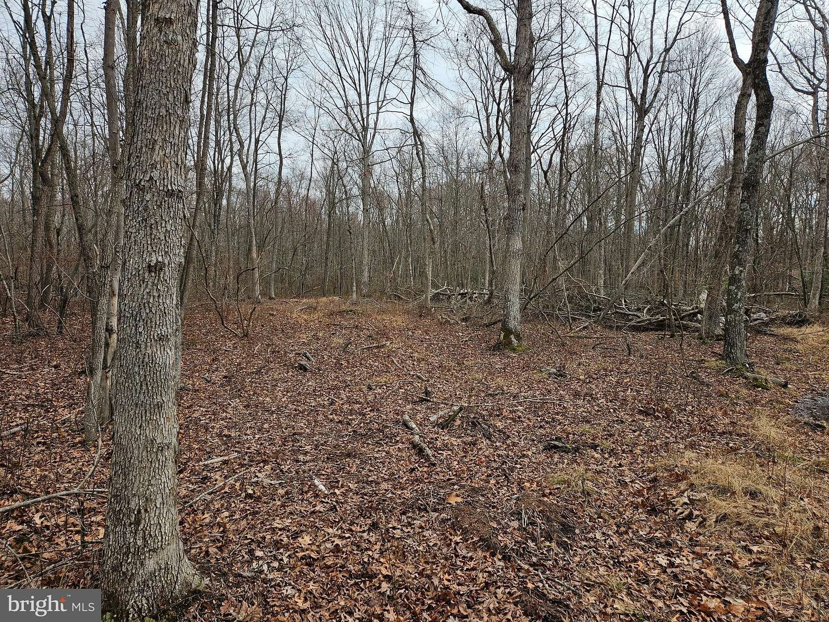 50 Acres of Recreational & Residential Land for Sale in Golts, Maryland