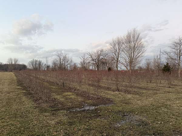 9.9 Acres of Land for Sale in Covert, Michigan