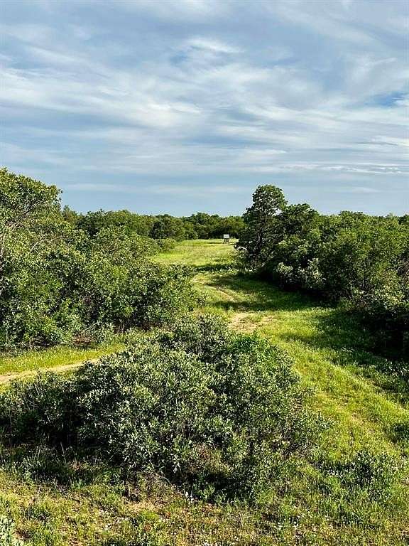 370 Acres of Recreational & Residential Land for Sale in Anson, Texas