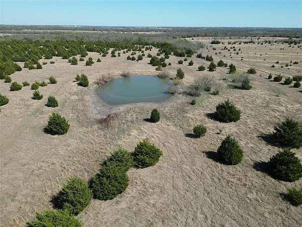 140 Acres of Recreational & Residential Land for Sale in Bailey, Texas