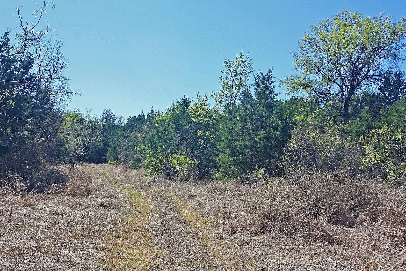 20 Acres of Land for Sale in Cleburne, Texas
