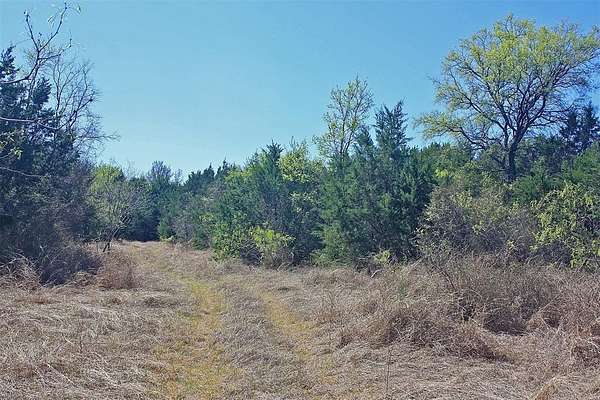 20 Acres of Recreational Land for Sale in Cleburne, Texas