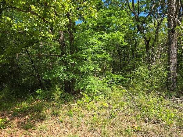 0.35 Acres of Residential Land for Sale in Gun Barrel City, Texas