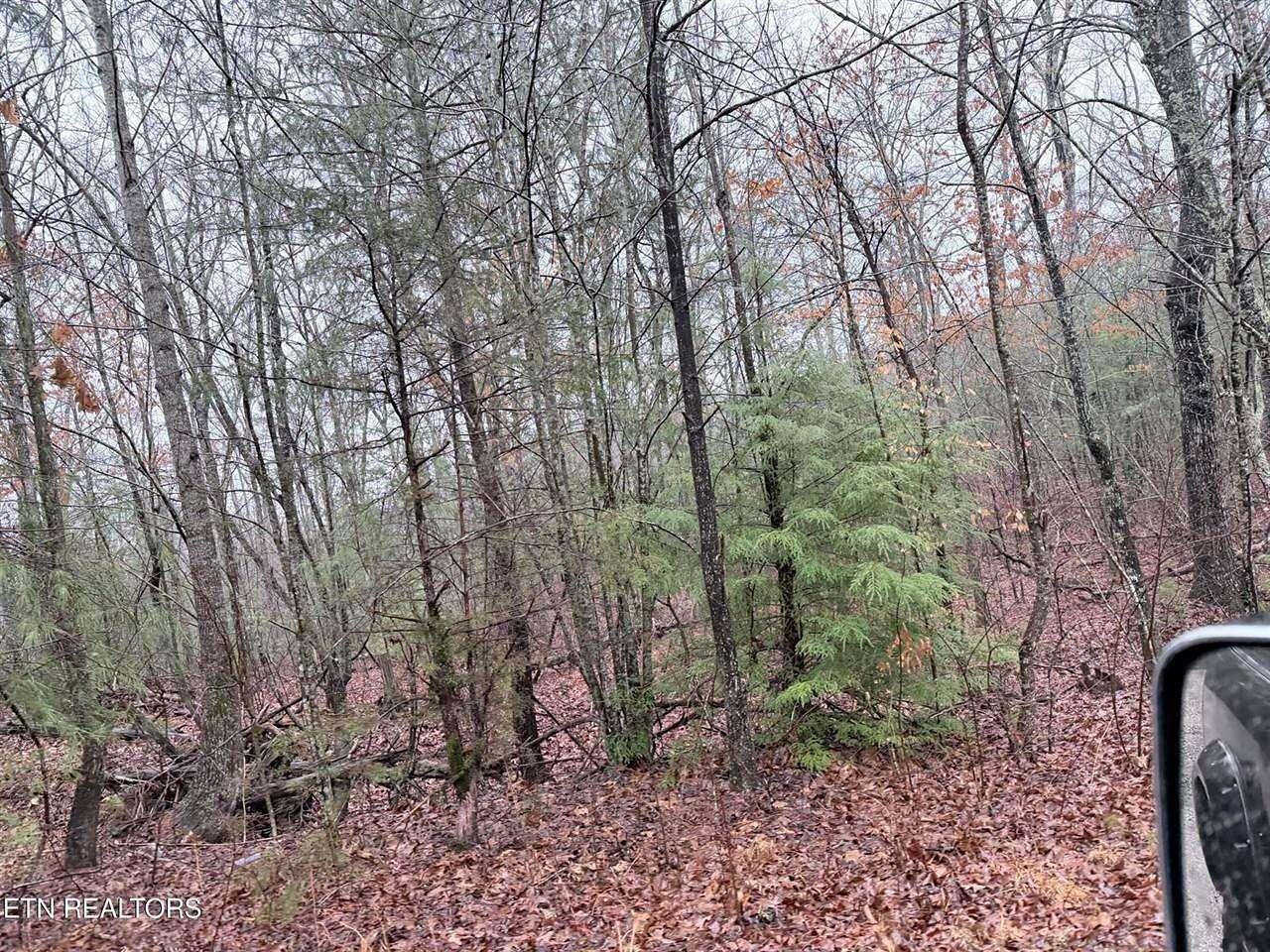 24.5 Acres of Recreational Land for Sale in Tellico Plains, Tennessee