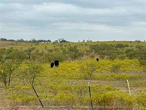 57.4 Acres of Land for Sale in Sanger, Texas