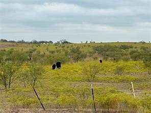 57.4 Acres of Land for Sale in Sanger, Texas