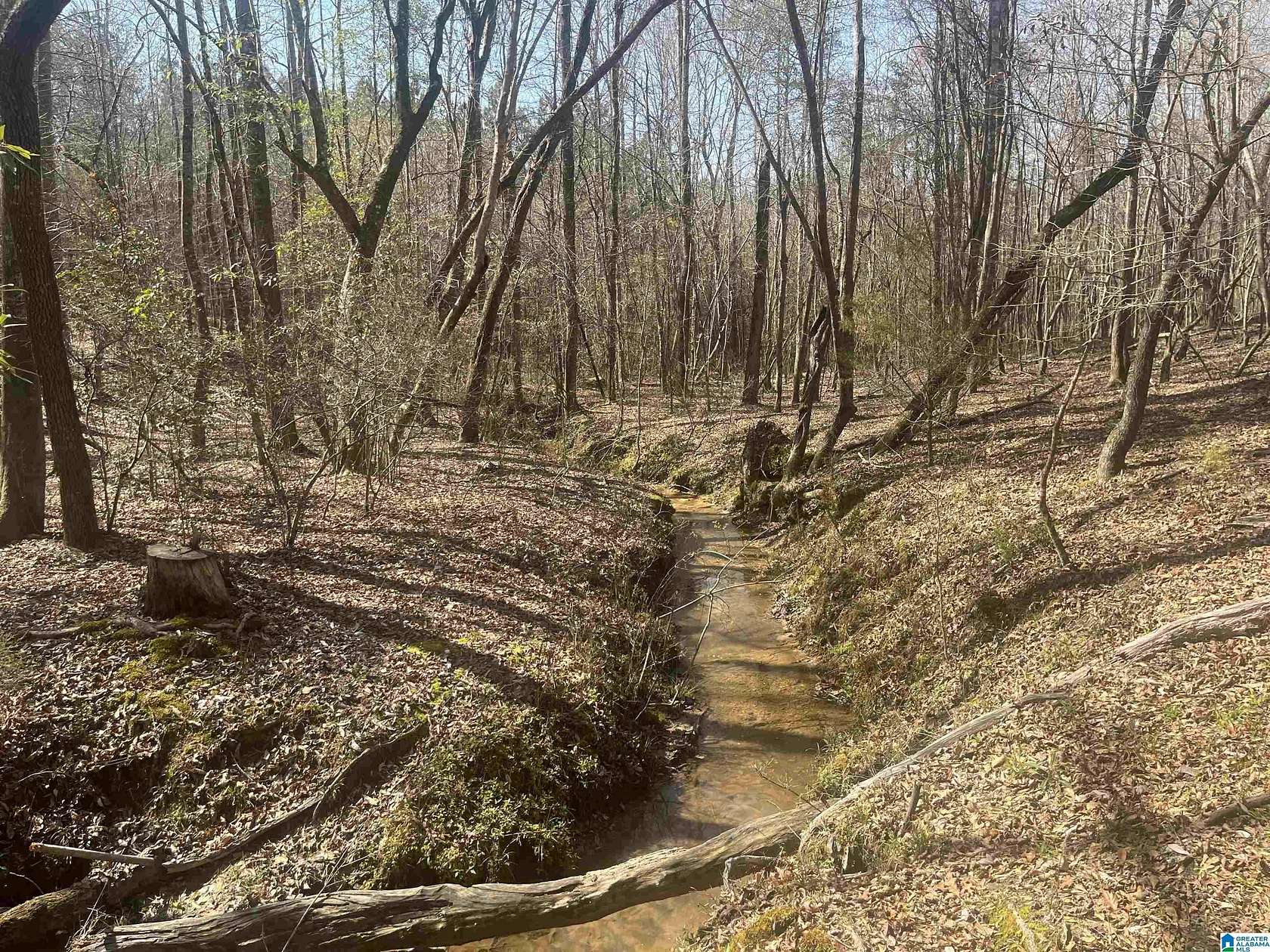 20 Acres of Recreational & Residential Land for Sale in West Blocton, Alabama