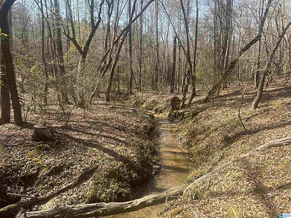 20 Acres of Recreational & Residential Land for Sale in West Blocton, Alabama